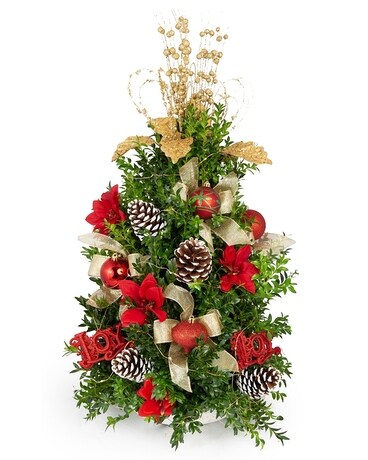 Christmas Cedar Tree