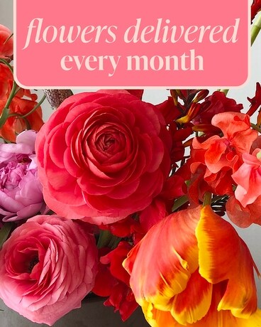 Flower Subscription Flower Arrangement