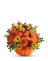 Standard size, 12 and a half inches height and 14 and a half inches wide.