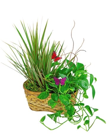 Butterfly Garden Basket Flower Arrangement