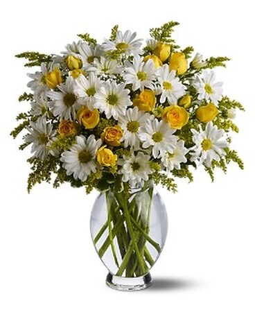 Daisy Days Deluxe Flower Arrangement