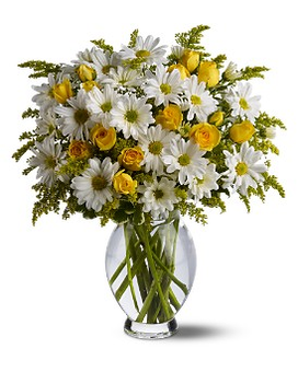 Standard size, 14 inches height and 11 inches wide.