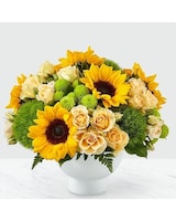 Deluxe size,  inches height and  inches wide.