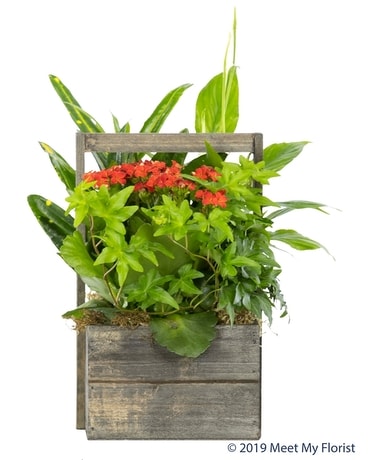 A Walk in the Woods Flower Arrangement