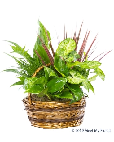 Garden Favorite Flower Arrangement