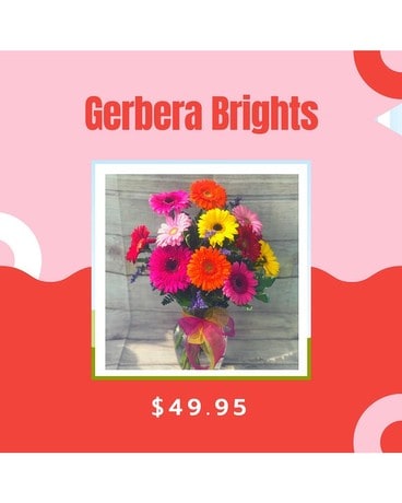 Gerbera Brights Flower Arrangement