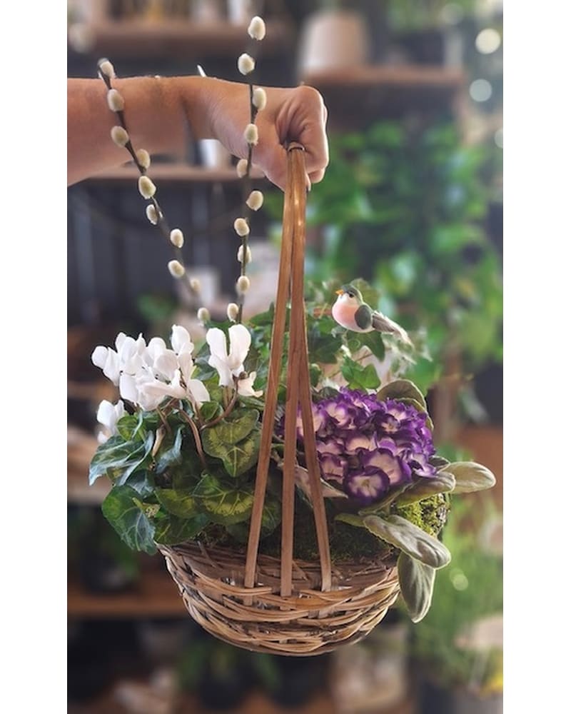 Plants Delivery Laconia NH - Prescott's Florist, LLC