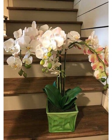 Permanent Botanicals (orchid) Flower Arrangement