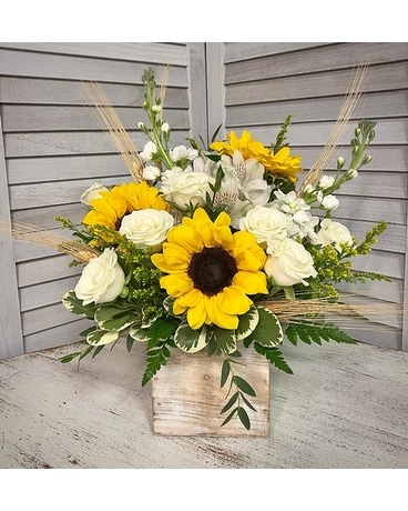 Floral Boxes Delivery Tampa FL - Albelos Flowers