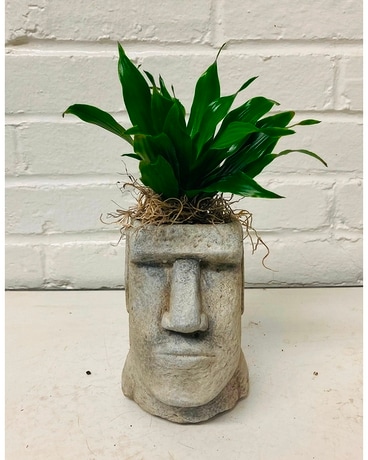 Easter Island Head Planter Plant