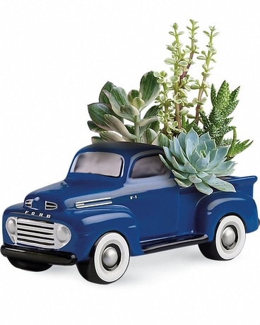 Succulents in Ford Truck Plant
