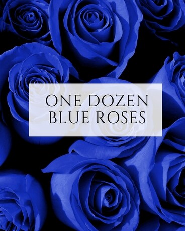 One Dozen Blue Roses Flower Arrangement