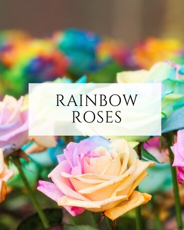 Rainbow Roses Flower Arrangement
