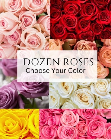 Dozen Standard Roses - Choose Your Color Flower Arrangement