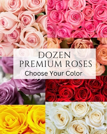 Dozen Premium Roses - Choose Your Color Flower Arrangement