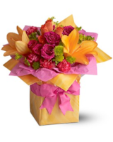 Standard size, 13 inches height and 13 inches wide.