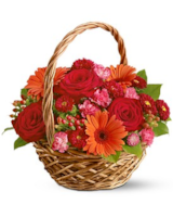 Standard size, 14 inches height and 12 inches wide.