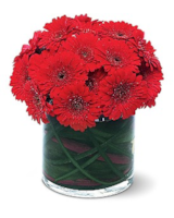 Standard size, 10 inches height and 9 inches wide.
