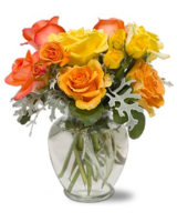 Standard size, 14 inches height and 15 inches wide.
