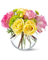 Standard size, 8 inches height and 8 inches wide.