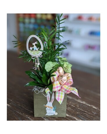 Bunny Planter ow22e003 Plant