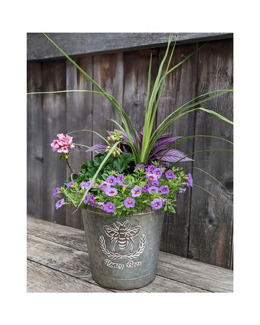 Honey Bees Planter MD ow22m008 Plant