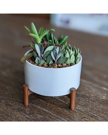 Standard size, 10 inches height and 8 and a half inches wide.