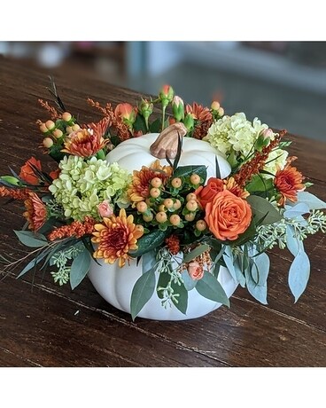 Pumpkin Pie Centerpiece ow22T013a Flower Arrangement