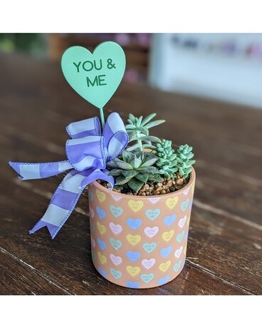 You & Me ow23v001a Plant