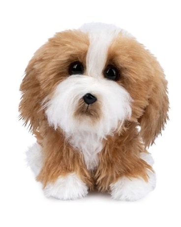 Benny Terrier sa-294 Gifts