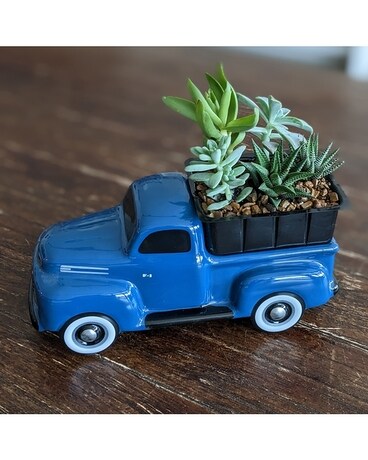 Ford F1 Pickup with Succulents t16f110a Plant