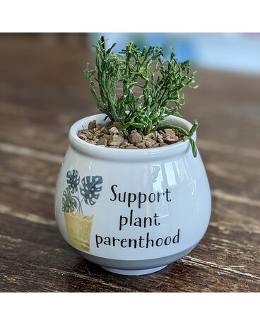 Plant Parenthood Pot GP033 Plant