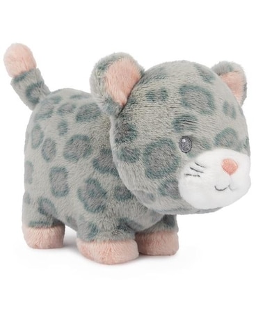 Safari Leopard sa-306 Gifts