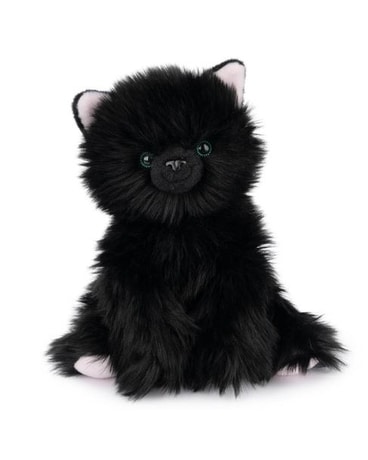 Xavier Kitten sa-313 Gifts
