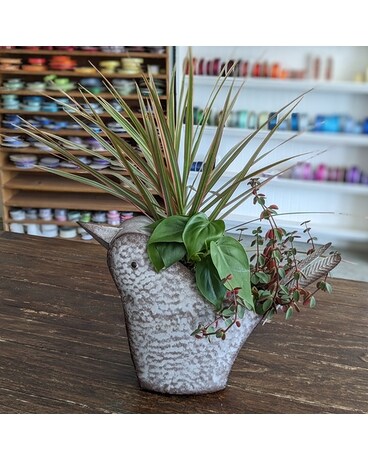 Wild Bird Planter Large Plant