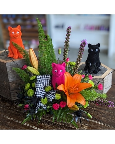 Scaredy Cat ow23h004 Flower Arrangement