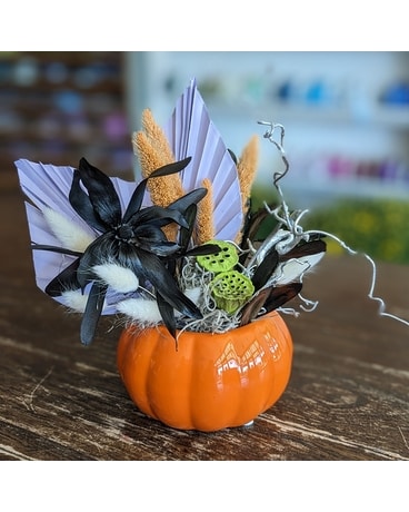 Pretty Petrified ow23H011 Flower Arrangement