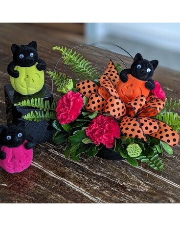 Kitschy Kitty ow23H014 Flower Arrangement