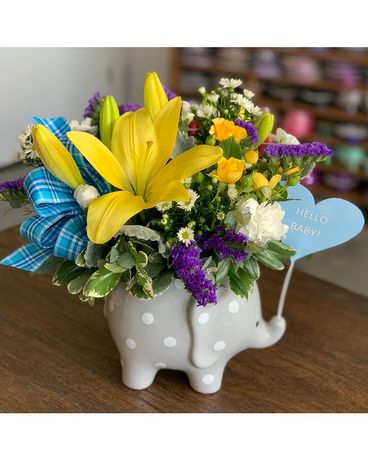 Hello Sweet Baby Boy ownb001a Flower Arrangement