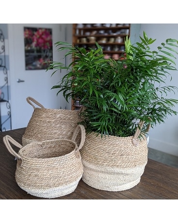 Collapsible Straw Baskets Gifts