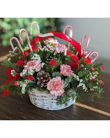 Candy Cane Christmas T118-3A Flower Arrangement