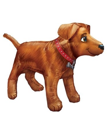 Dog Mylar Gifts