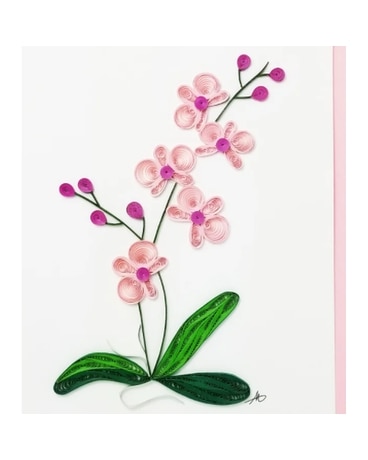 IQ-327 Orchid Gifts