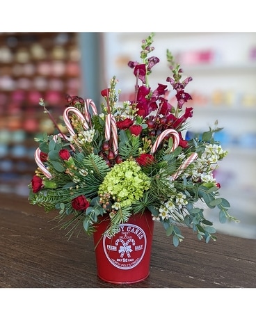 Candy Cane Lane ow22x005a Flower Arrangement