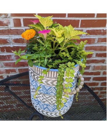 Small Blue Beaded Handle Planter ow23M011 Plant