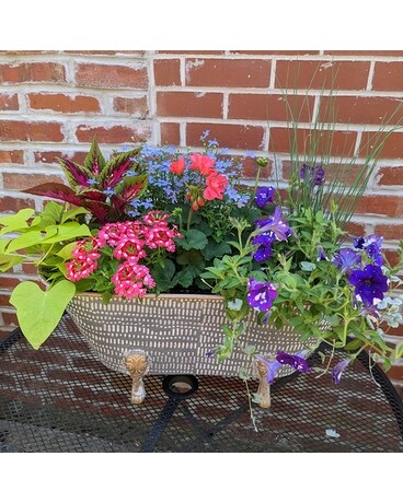Beautiful Seasonal Flowers Banner