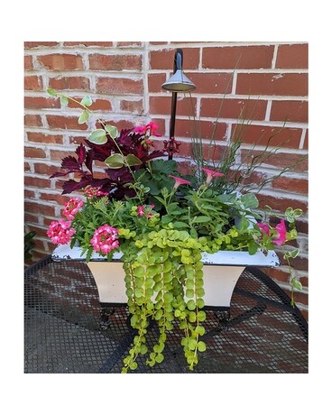 Beautiful Seasonal Flowers Banner