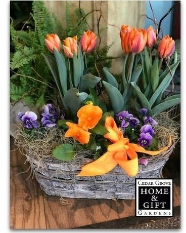 Spring Garden Plant