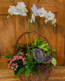 No Greater Love Dish Garden Plant