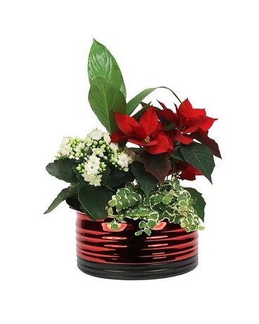 8inch Black & Red Base Planter Flower Arrangement